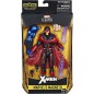 Marvel Legends X-Men Magneto 6 Inch Action Figure (BAF: Apocalypse)